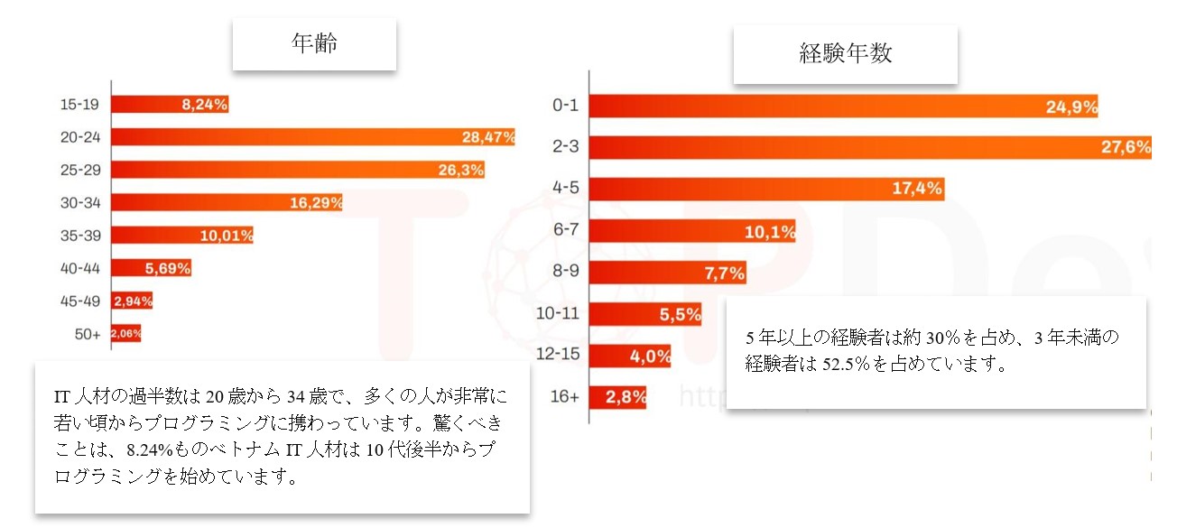ベトナムit人材 2