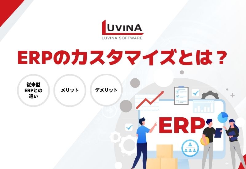 ERPのカスタマイズとは？パッケージERPとの違いや費用やメリットを解説